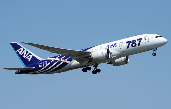 ANA_Boeing_787-881_Aoki-2.jpg